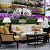 The-Majestic-Hotel-Kuala-Lumpur---The-Orchid-Conservatory