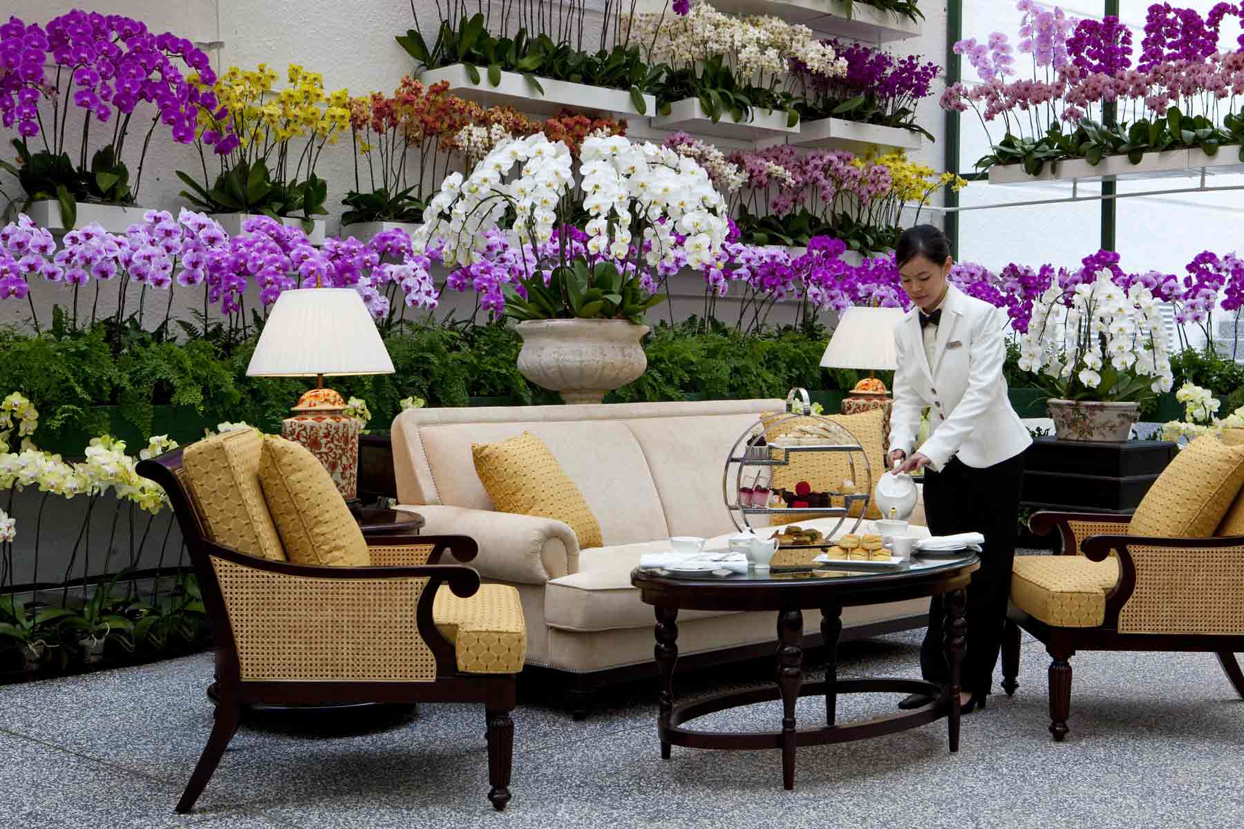 The-Majestic-Hotel-Kuala-Lumpur---The-Orchid-Conservatory