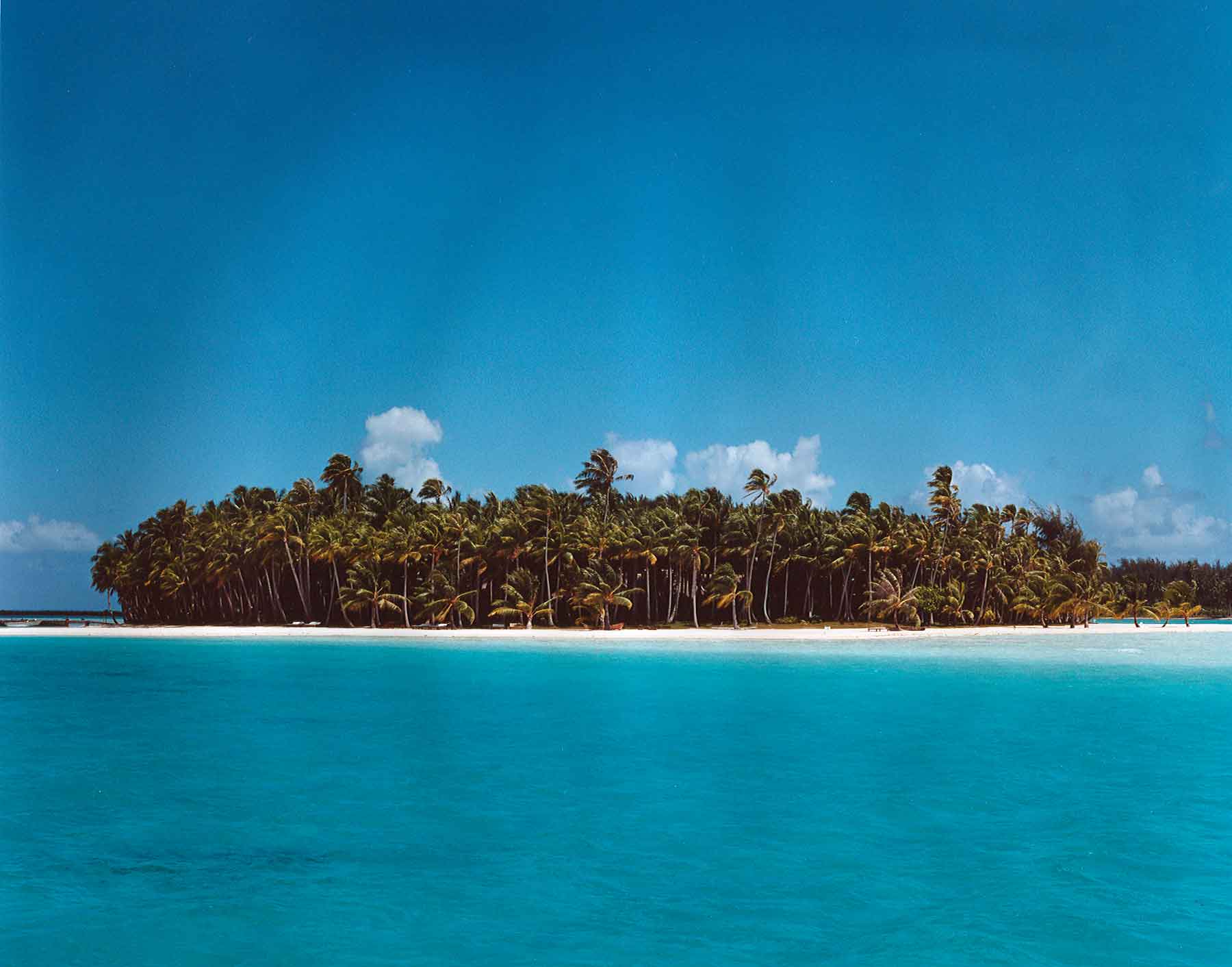 motu tane