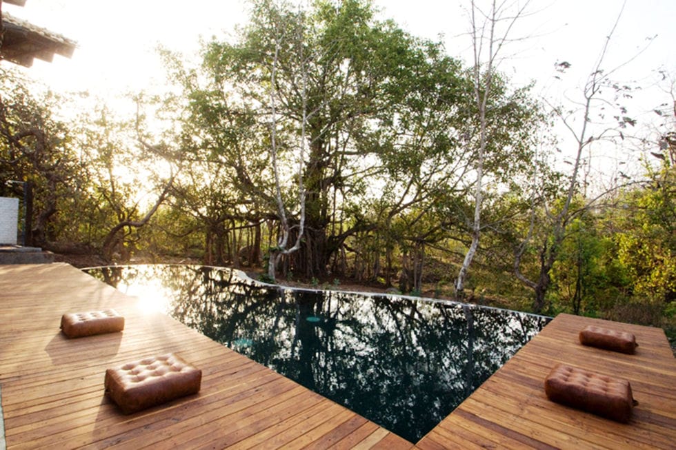 jamtara-wilderness-camp