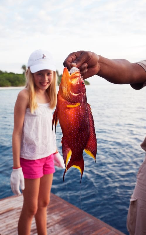 Discover Maldivian marine life 