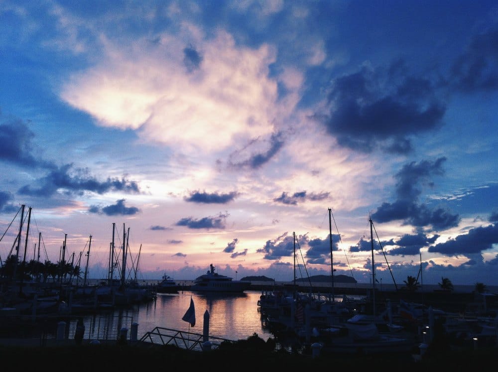 Image Courtesy of Rozie Mastor