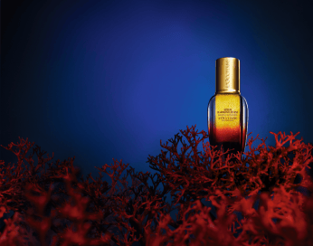 L'Occitane Harmonie Divine Serum