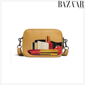 Coach x Tom Wesselmann