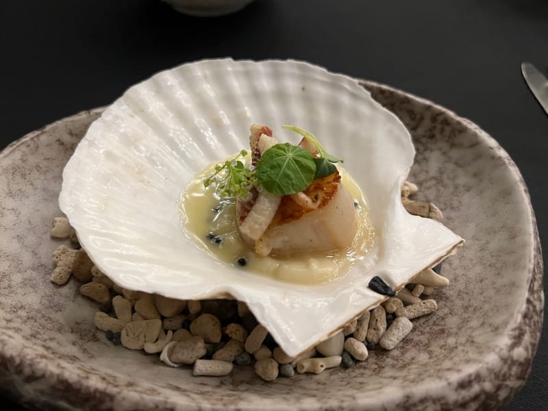 Hokkaido Scallop