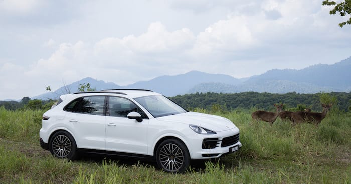 Annice Lyn Porsche Cayenne