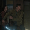 the last of us