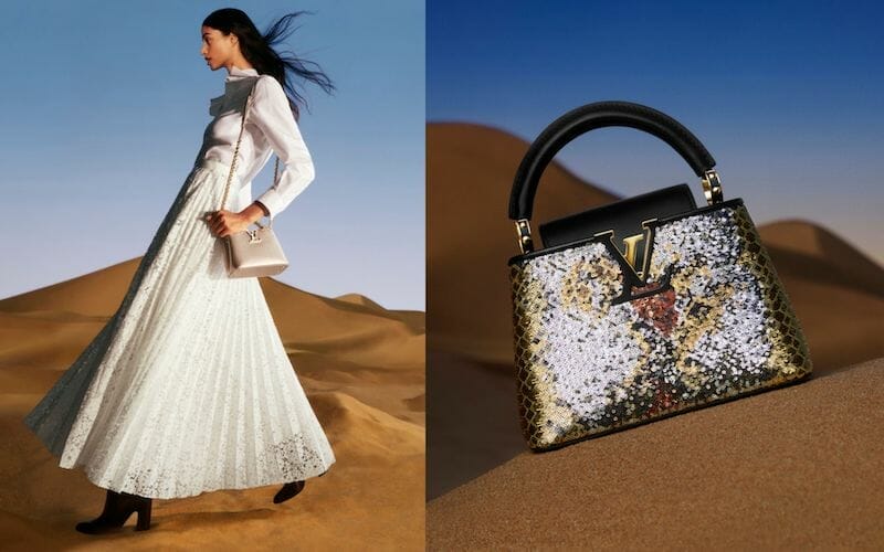 Here's Everything You Need To Know About The Louis Vuitton Capucines