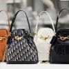 c'est dior bag