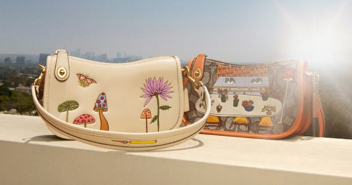 Coach and Observed by Us