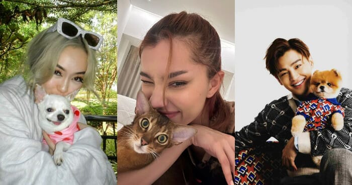 Amelia Henderson, DJ Jovyn and Alvin Chong Celebrity Pets