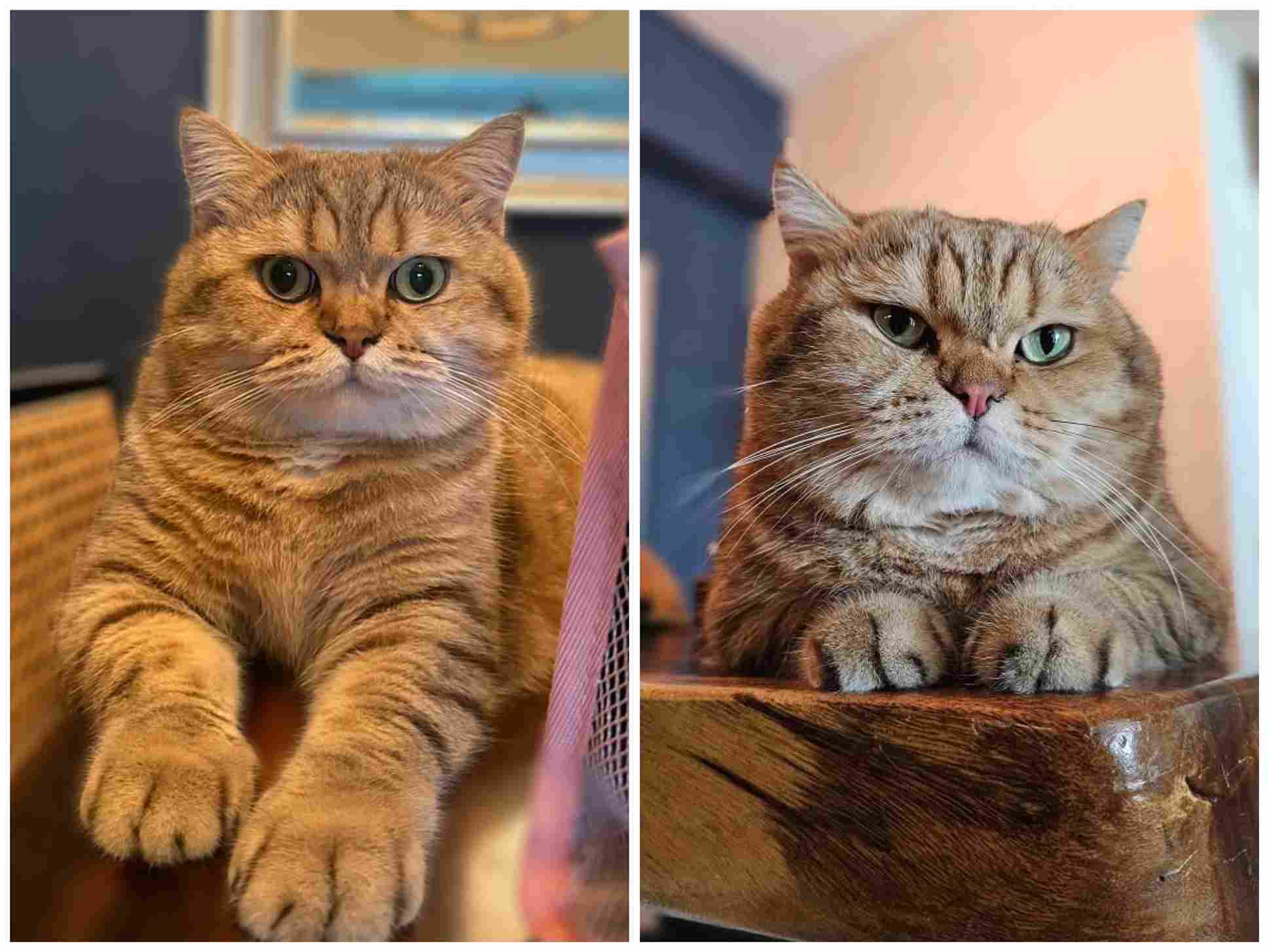 Image by Nabila Huda.