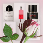 Rose Fragrance