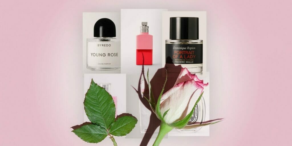 Rose Fragrance