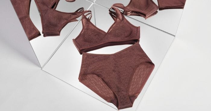 Triumph Signature Sheer collection