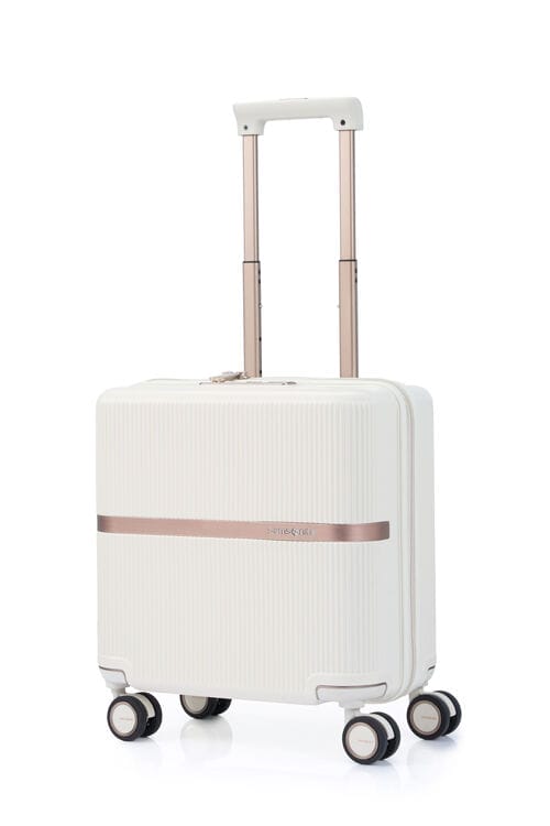 Samsonite Minter Collection luggage