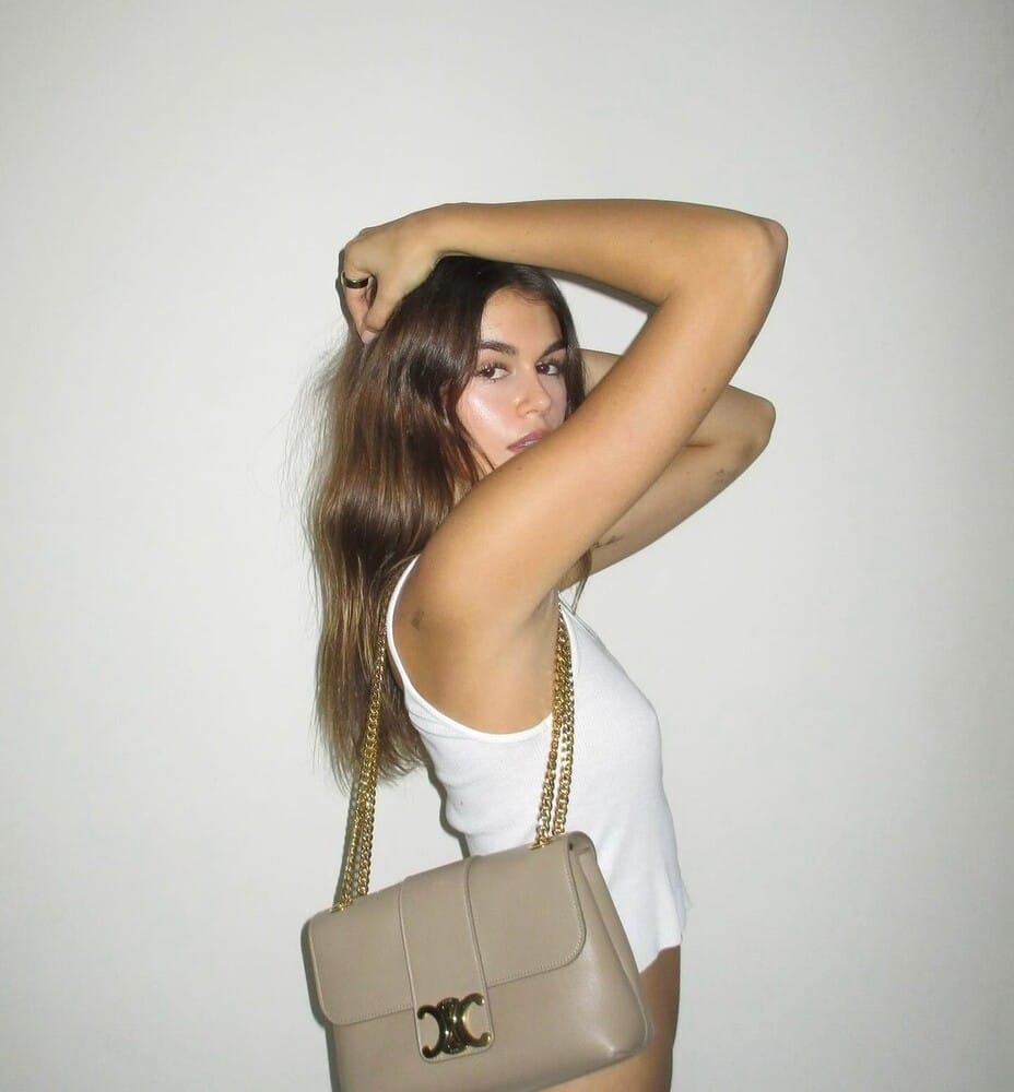 CELINE'S Victoire Bag is the It Bag to Own Right Now
