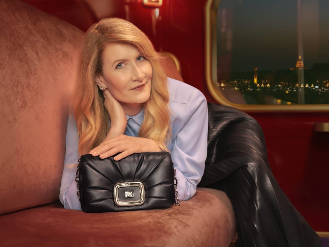 Roger Vivier Laura Dern