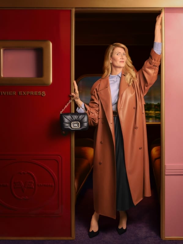 Laura Dern for Roger Vivier