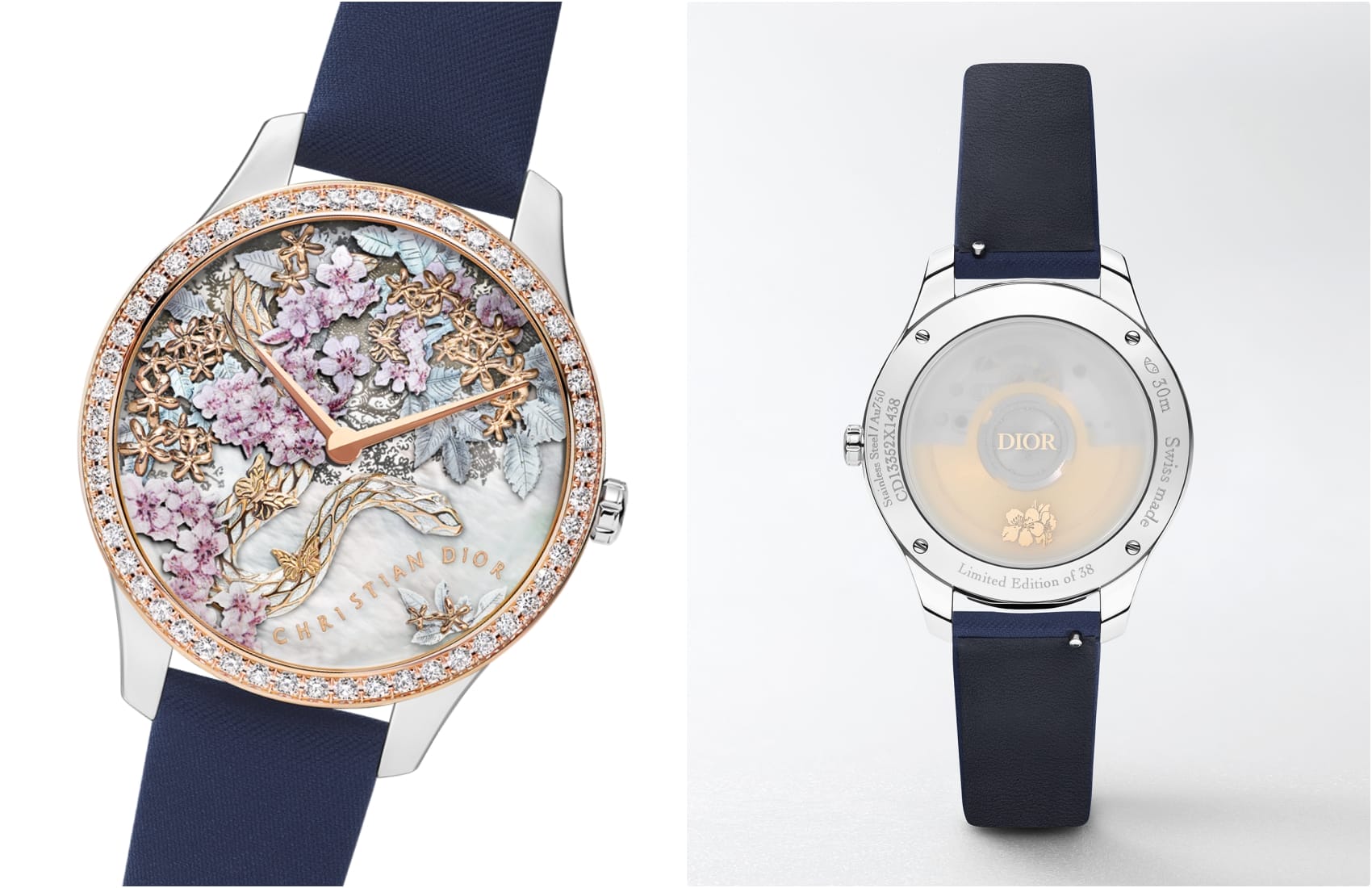 Dior year of the Snake watch