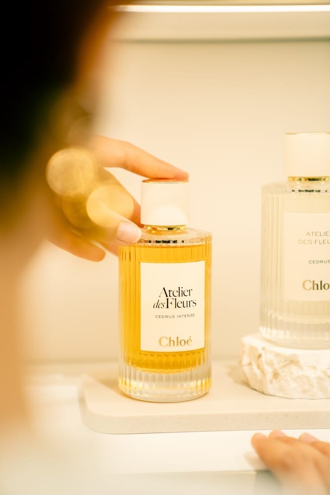 chloé cedrus intense